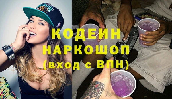крисы Надым