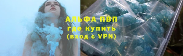 крисы Надым