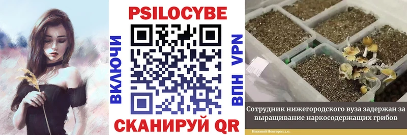 Псилоцибиновые грибы прущие грибы  Тольятти 