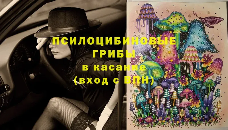 Псилоцибиновые грибы Cubensis Тольятти