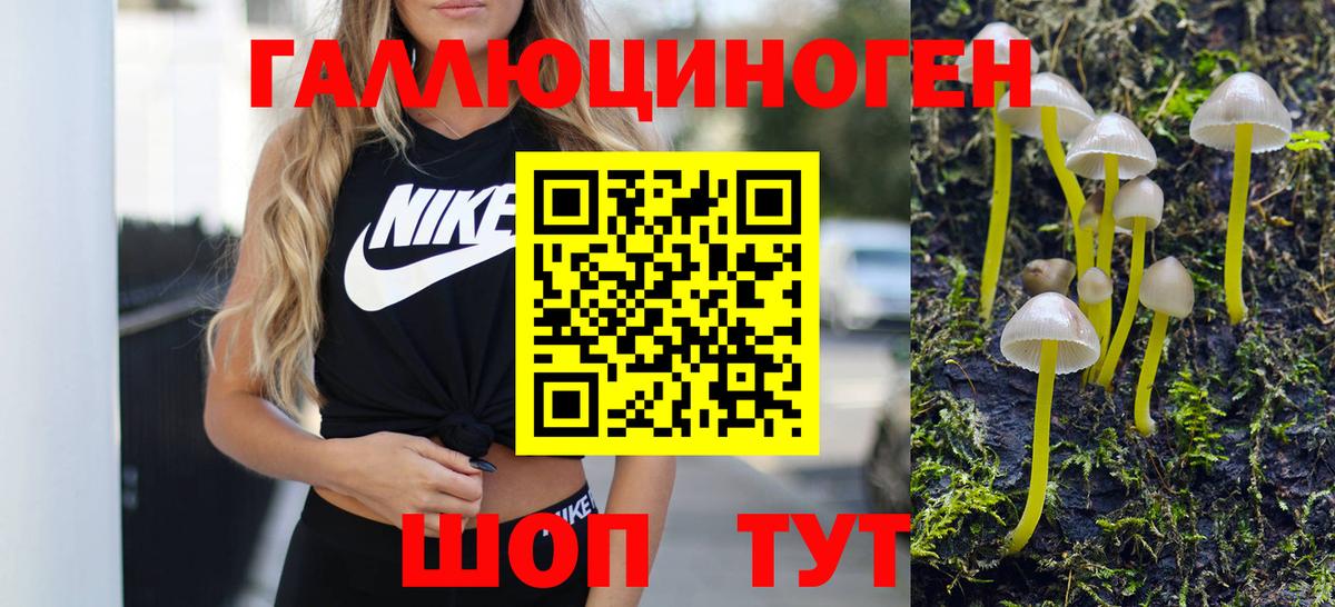 Псилоцибиновые грибы прущие грибы Тольятти