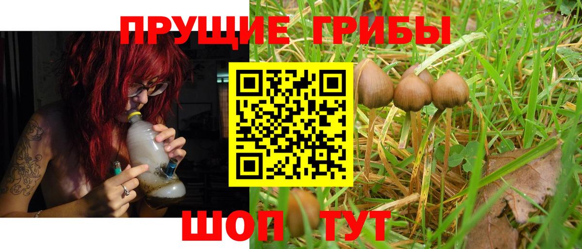 Тольятти  Псилоцибиновые грибы прущие грибы  где продают   Галлюциногенные грибы ЛСД  Вход с VPN 