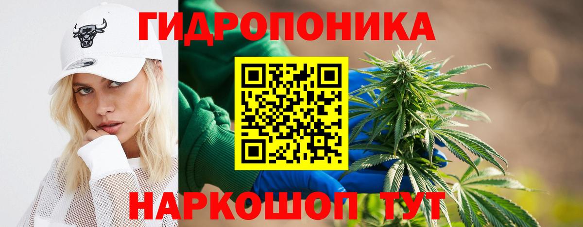 Марихуана OG Kush  Бошки марихуана марихуана  Конопля конопля  Вход с VPN  Бошки марихуана ГИДРОПОН  Тольятти 
